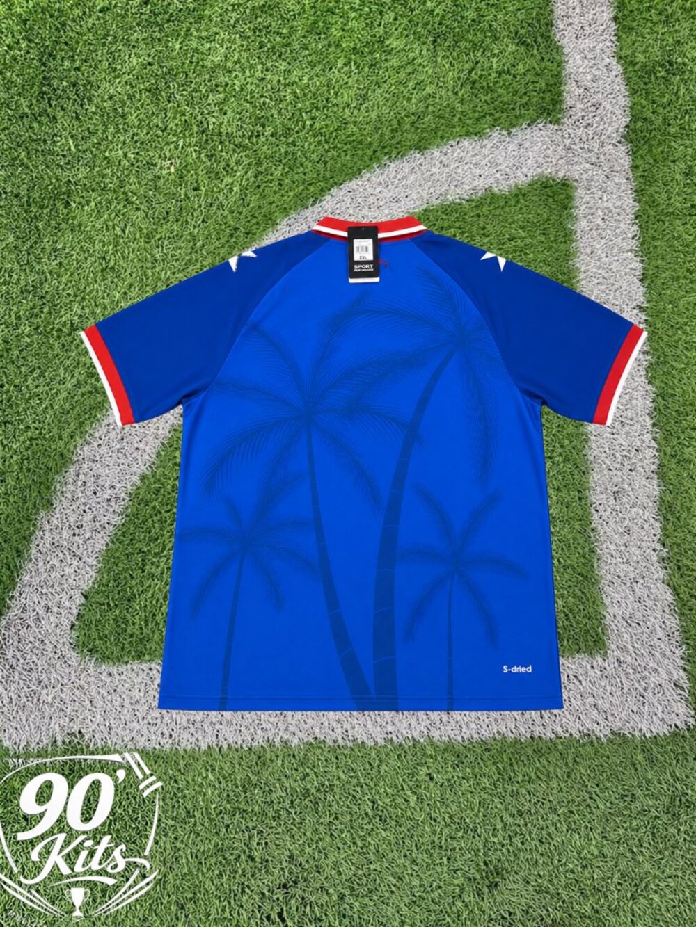 2026 Haiti National Soccer Jersey